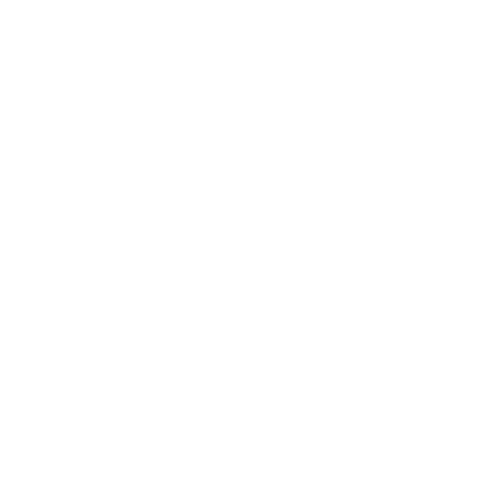 Korinna, Reiki Practitioner